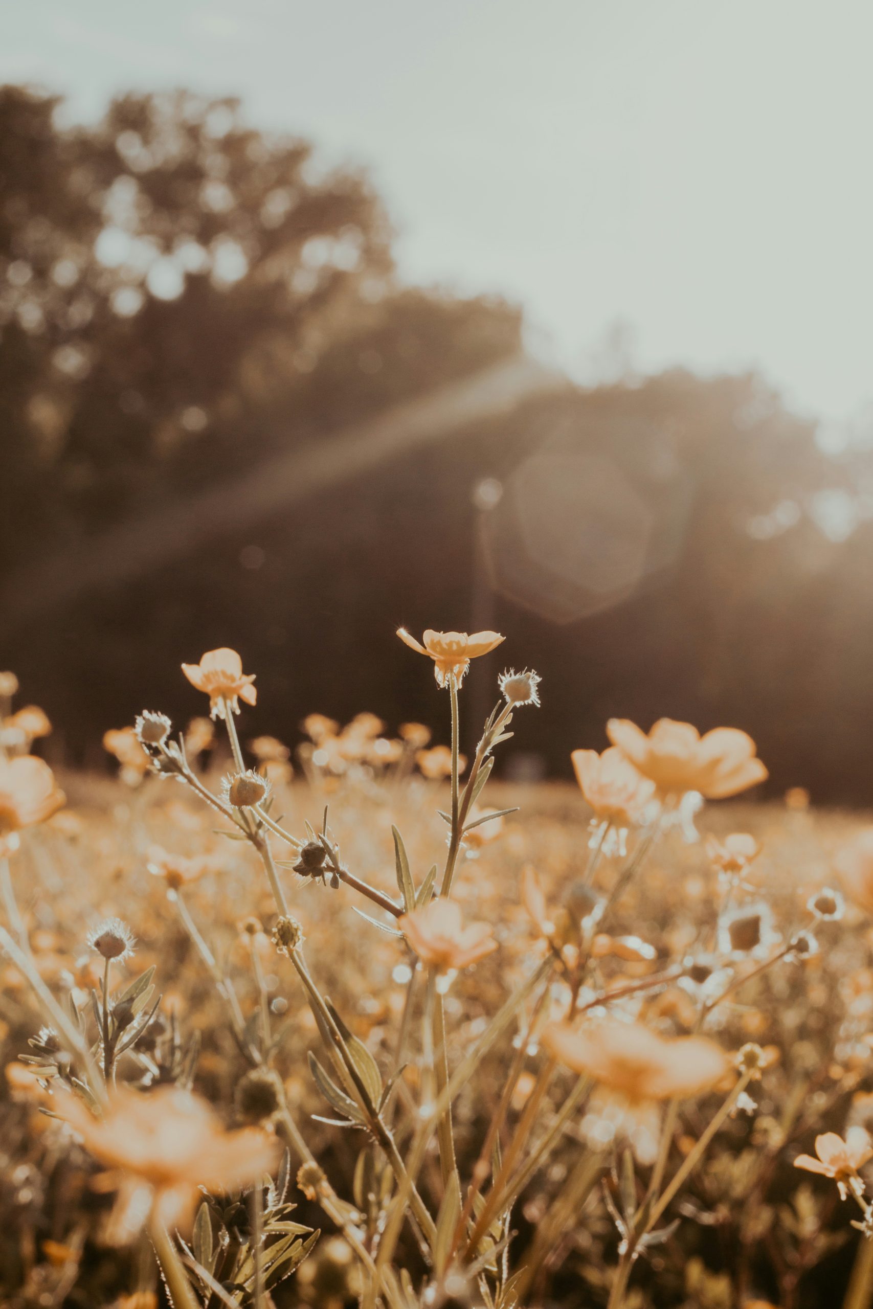 The Only People For Me: A Poem